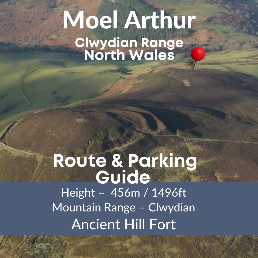 Moel Arthur Walk – A Quick Walk Ideal for Families and Dogs