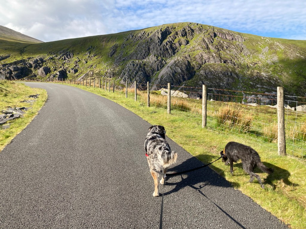 Marchlyn Mawr Access Road parking