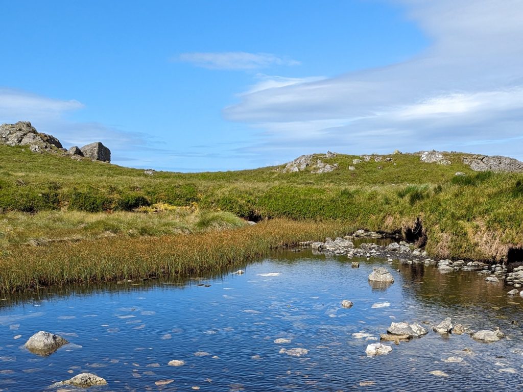 A tarn on Aran Fawddwy