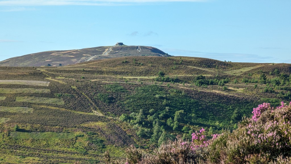 Moel Famau from Foel Fenlli
