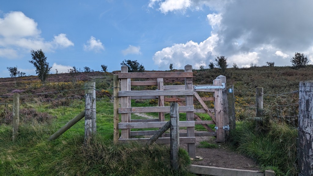 style on the route up to Moel Arthur
