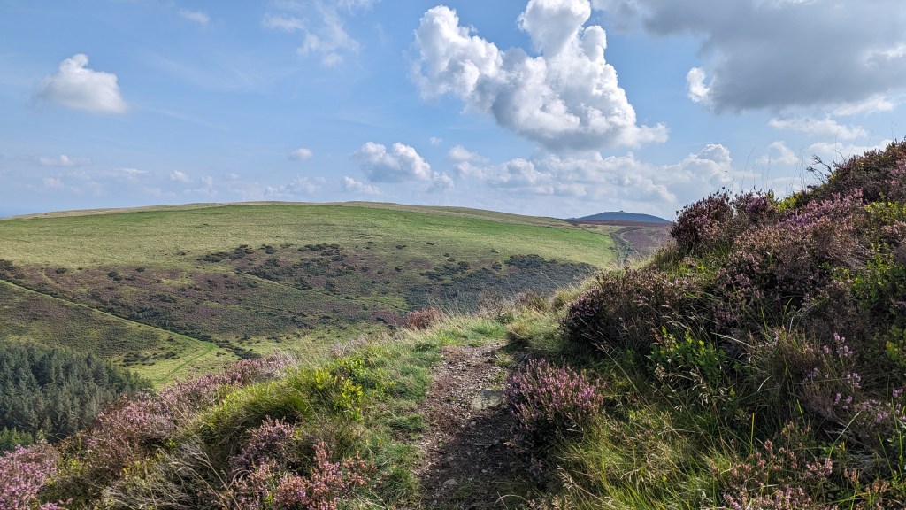 moel arthur clwydian range walk