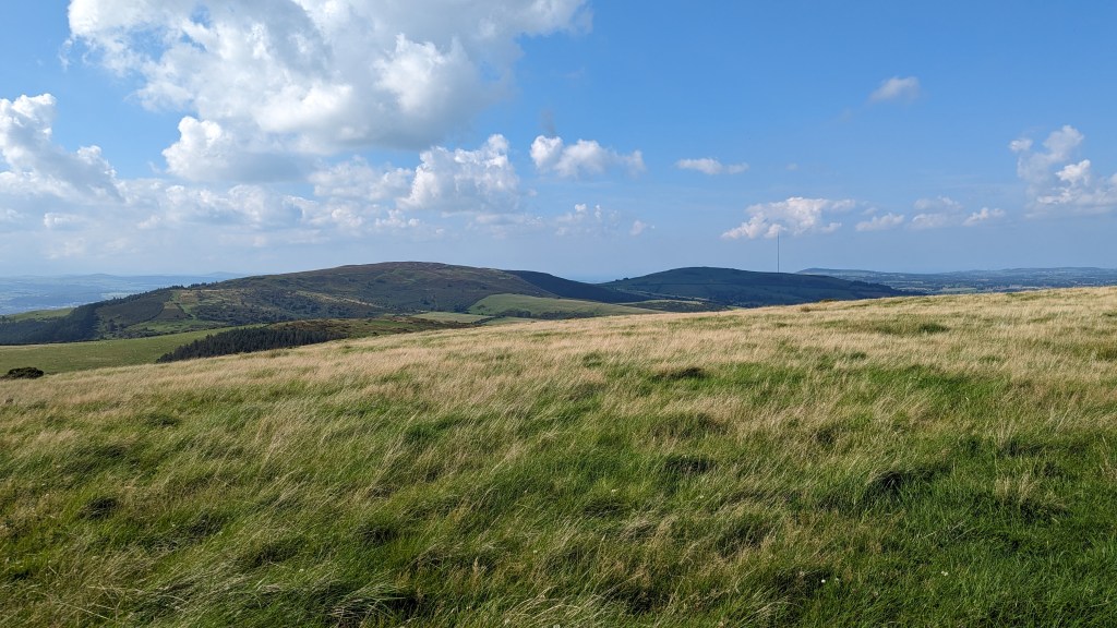 Moel Plas-yw summit