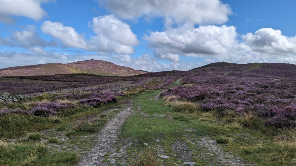 moel famau walk