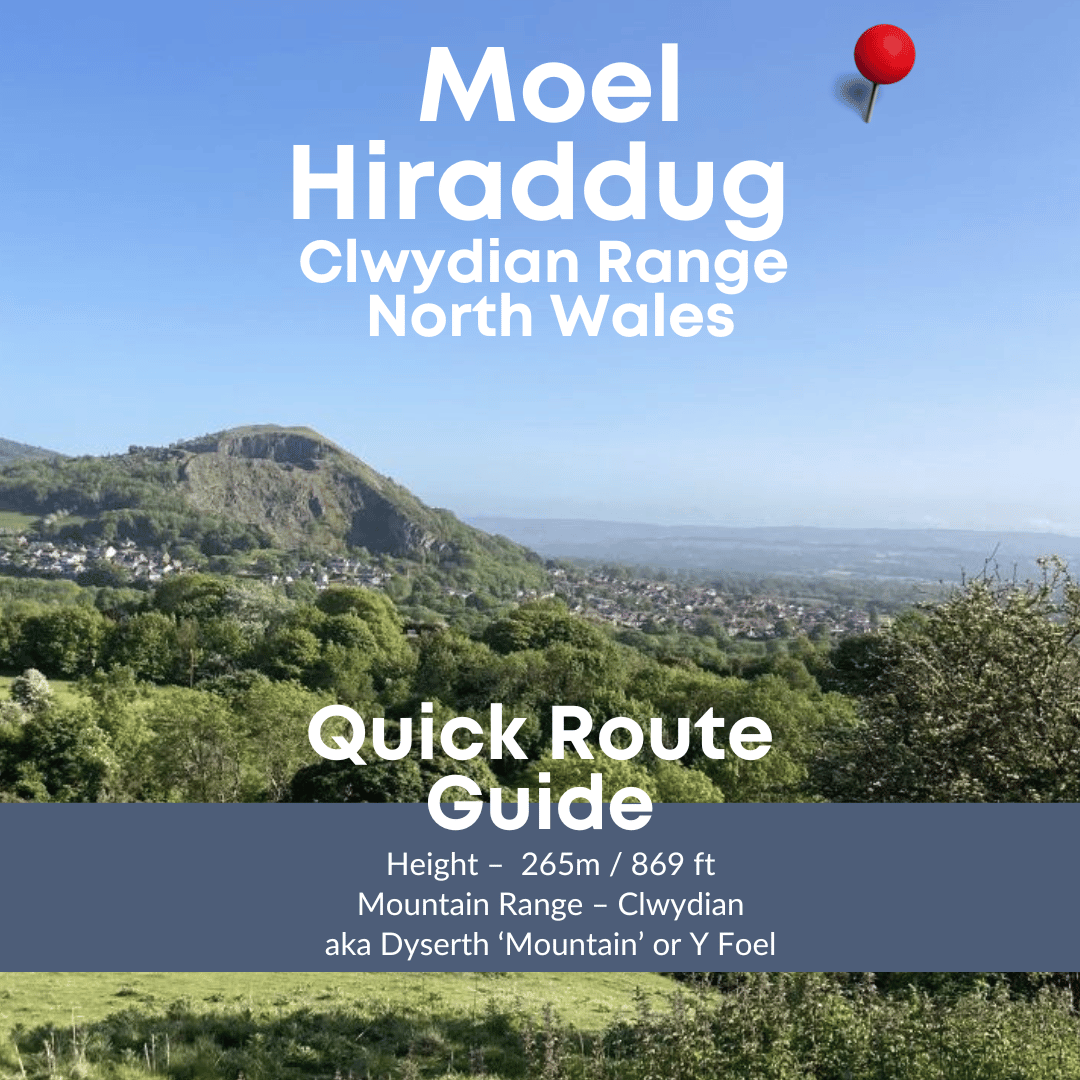 Moel Hiraddug Walk – Quick Route, perfect for family and dog walks