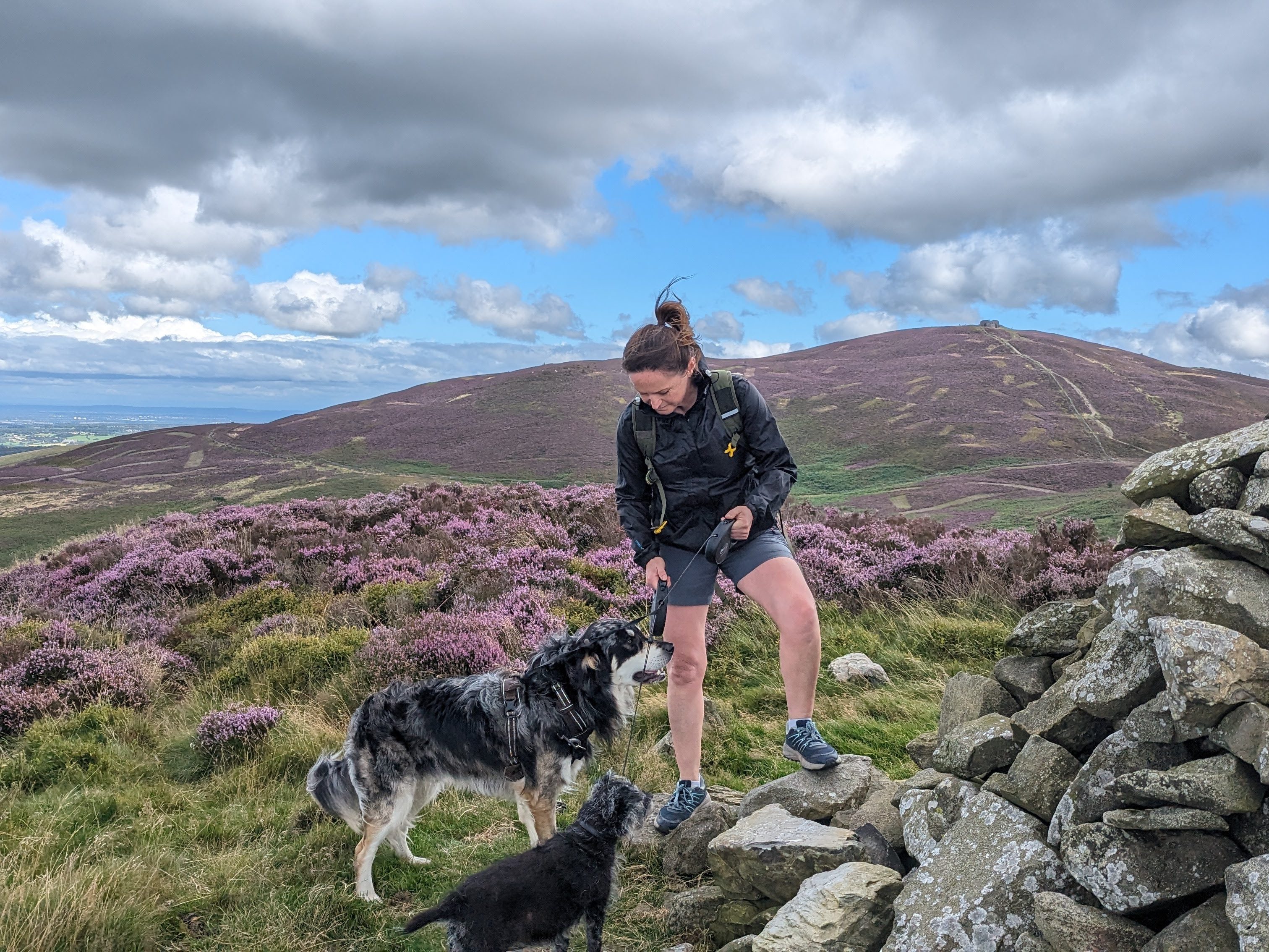 Hilary and Ziggy on the Clwydian Range