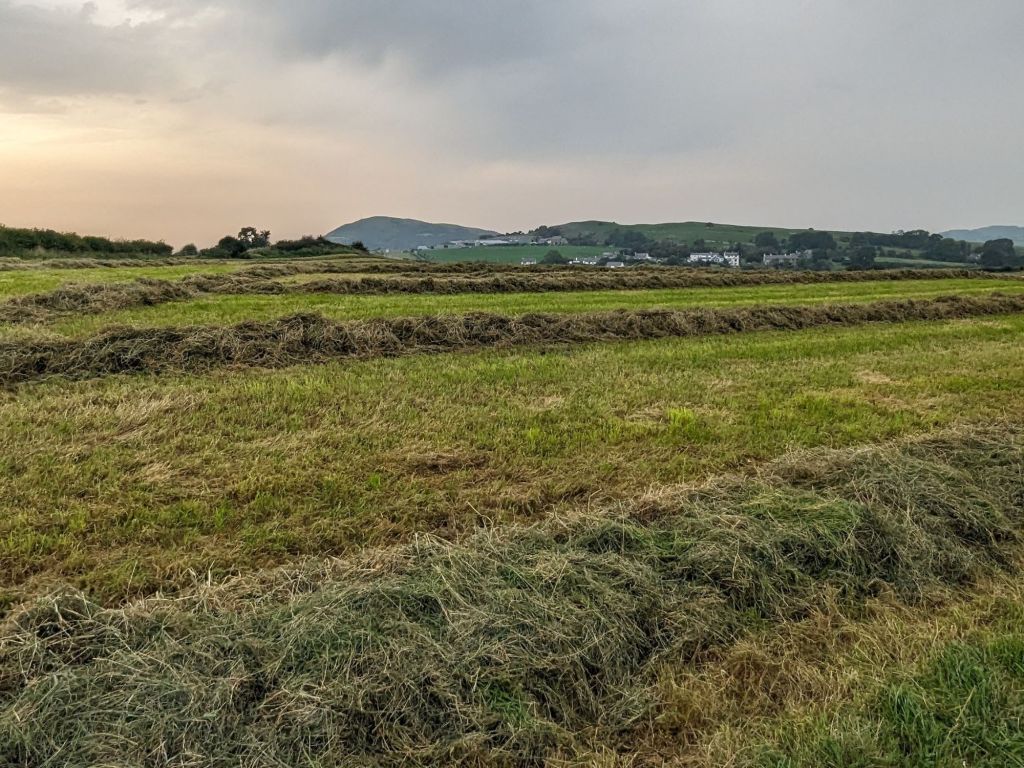 Moel Hiraddug views