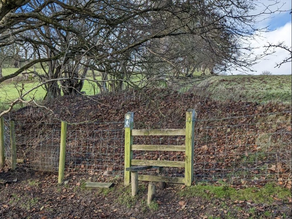 style on the Moel Gyw circular walk up to Tyddyn uchaf
