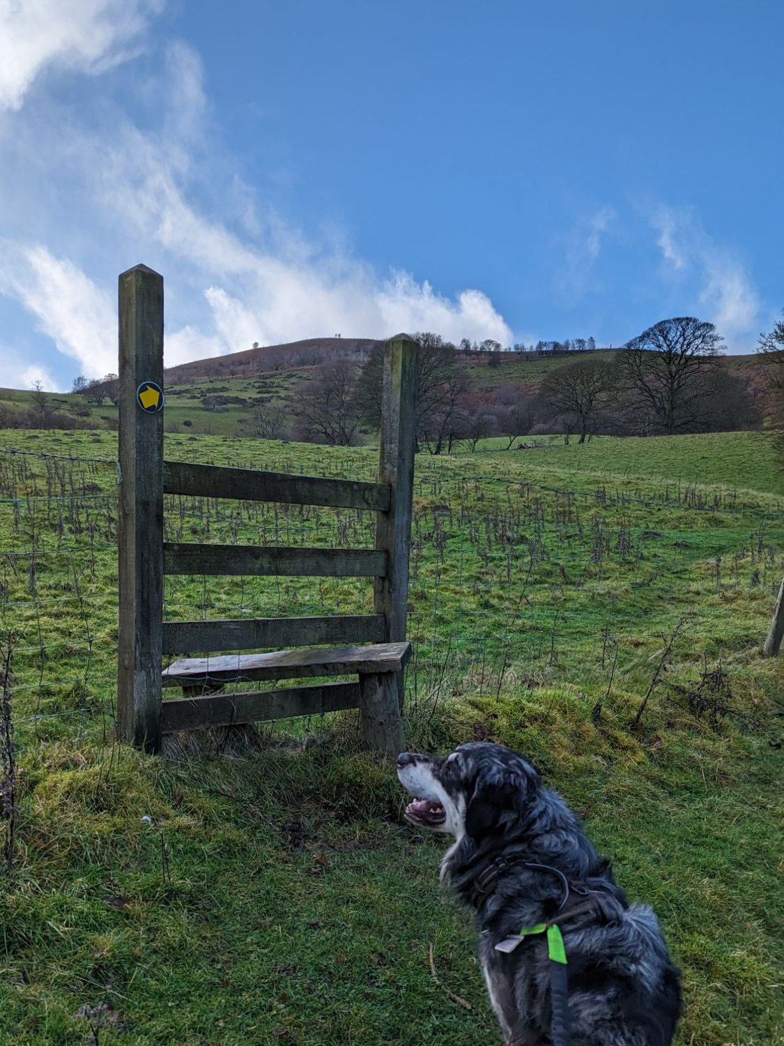 style on the moel gyw circular path