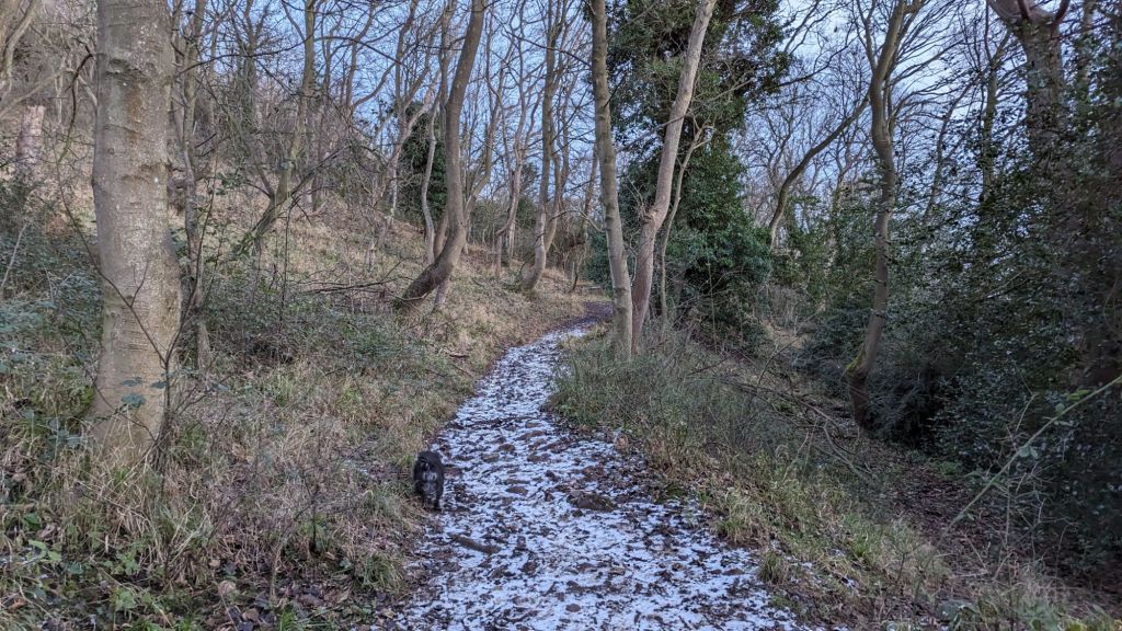 the path up to moel hiraddug