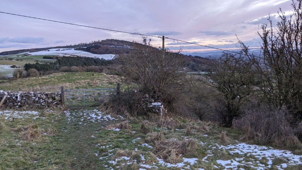 path down from moel hiraddug with cwm woods in background