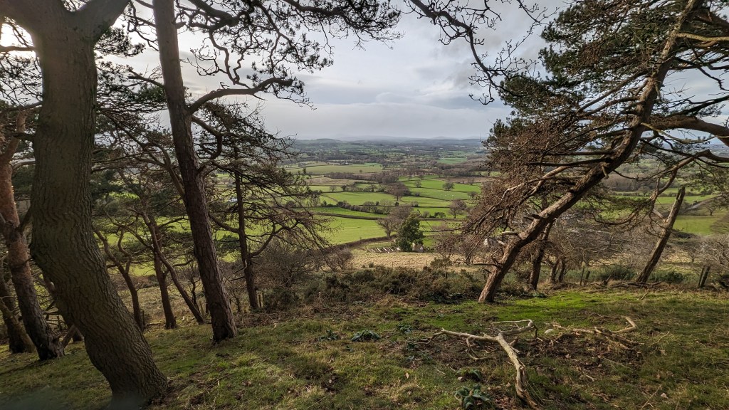 beautiful views of the vale of clwtd through the woodlan of Coed Moel y Gaer