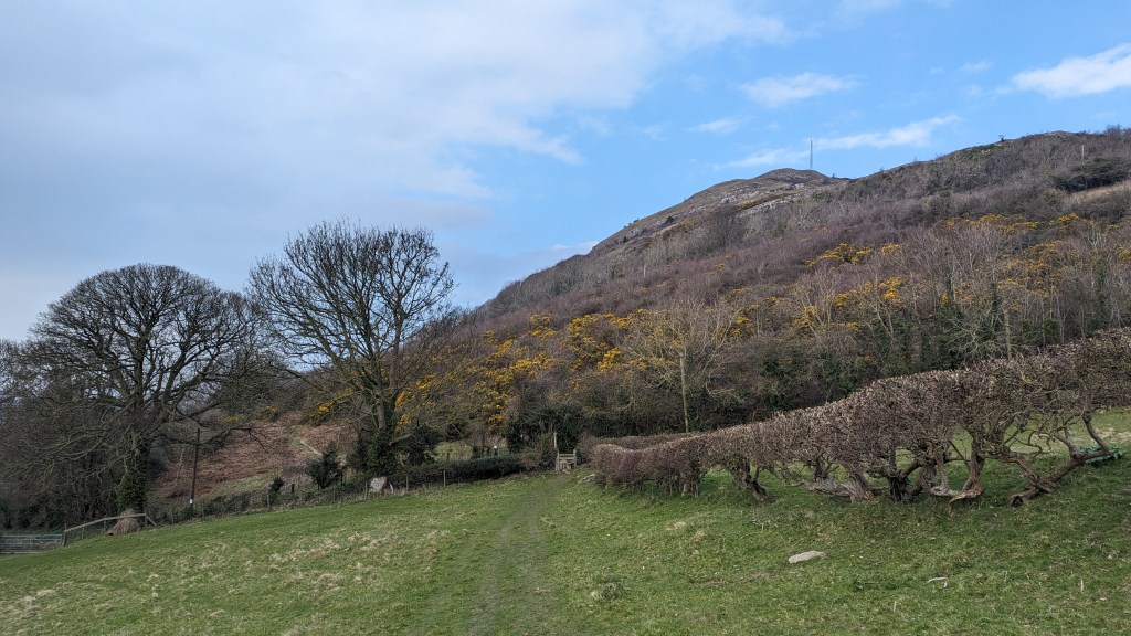 Looking back at Moel Hiraddug as you head back to the Blue Lion in Cwm.