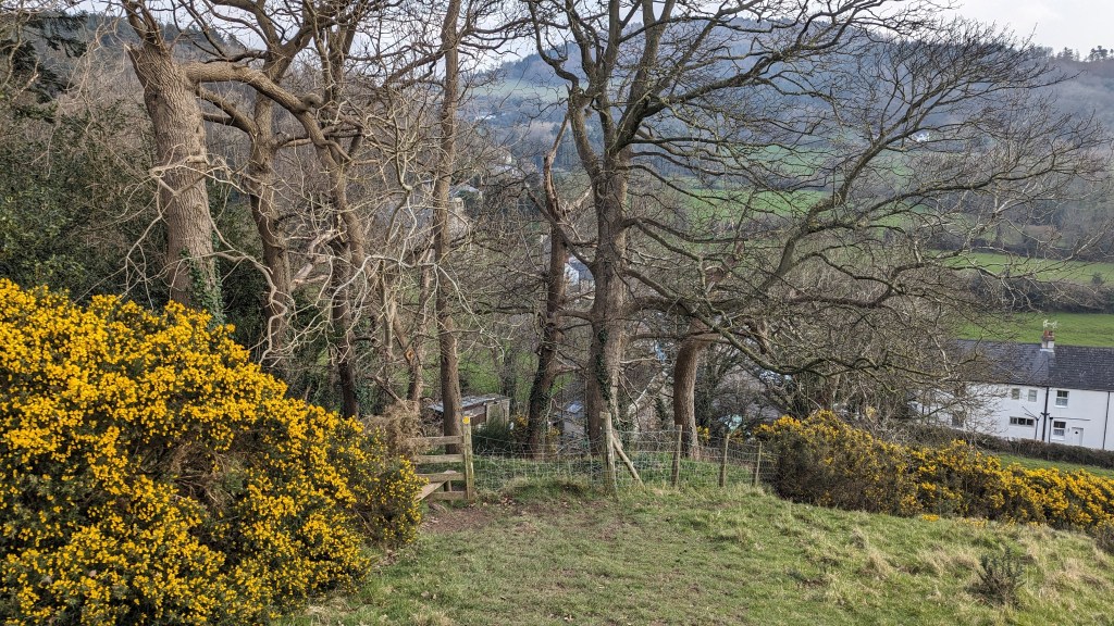 stile Church Wood Cwm