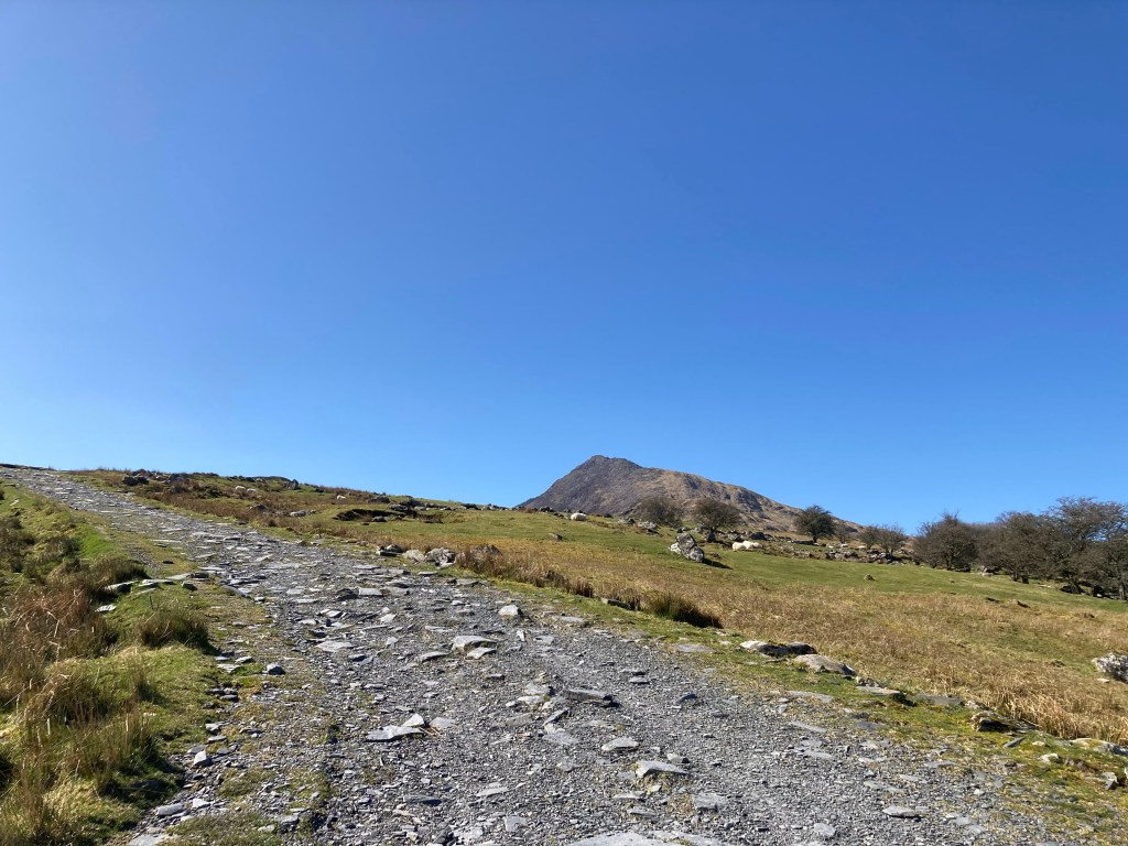 the track up to Moel Siabod path