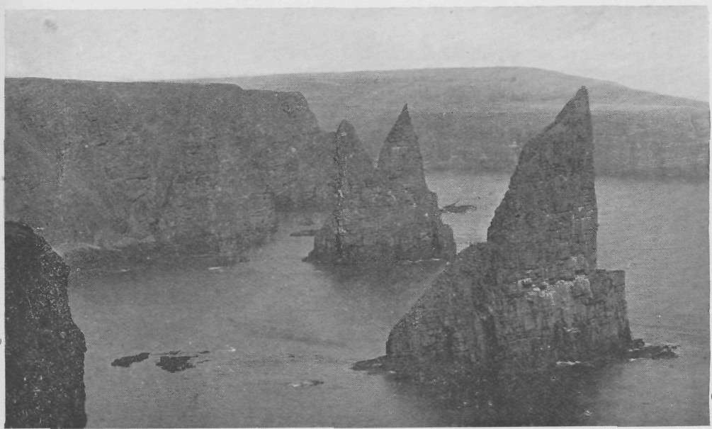 THE STACKS OF DUNCANSBAY