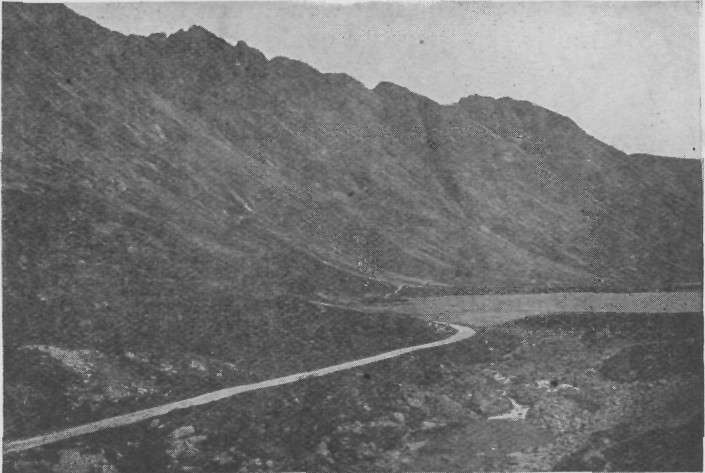 IN GLENCOE.