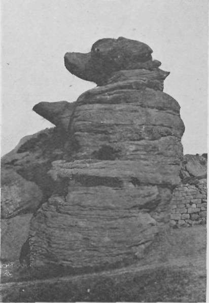 THE DANCING-BEAR ROCK.