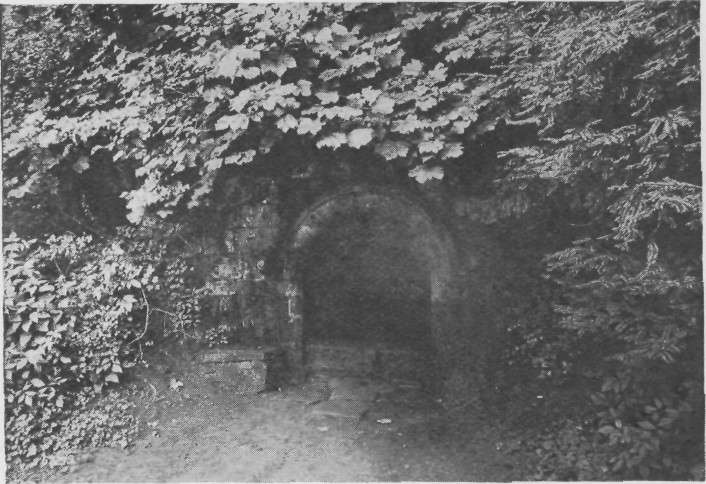 ROBIN HOOD'S WELL, FOUNTAINS ABBEY.