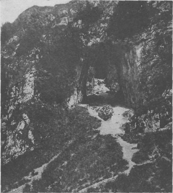 REYNARD'S CAVE, DOVEDALE.