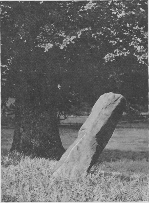 BULL BAITING STONE, ATHERSTONE.