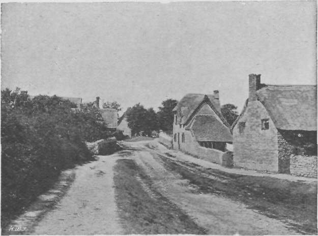 
THE SCENE OF THE DIGGING OPERATIONS.