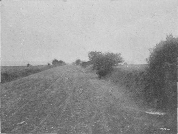 
THE ICKNIELD WAY, LOOKING FROM THE WHITE HORSE.