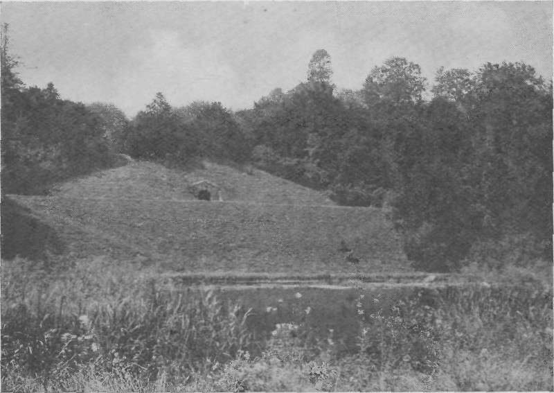 THE CAVE IN THE DIAMOND.