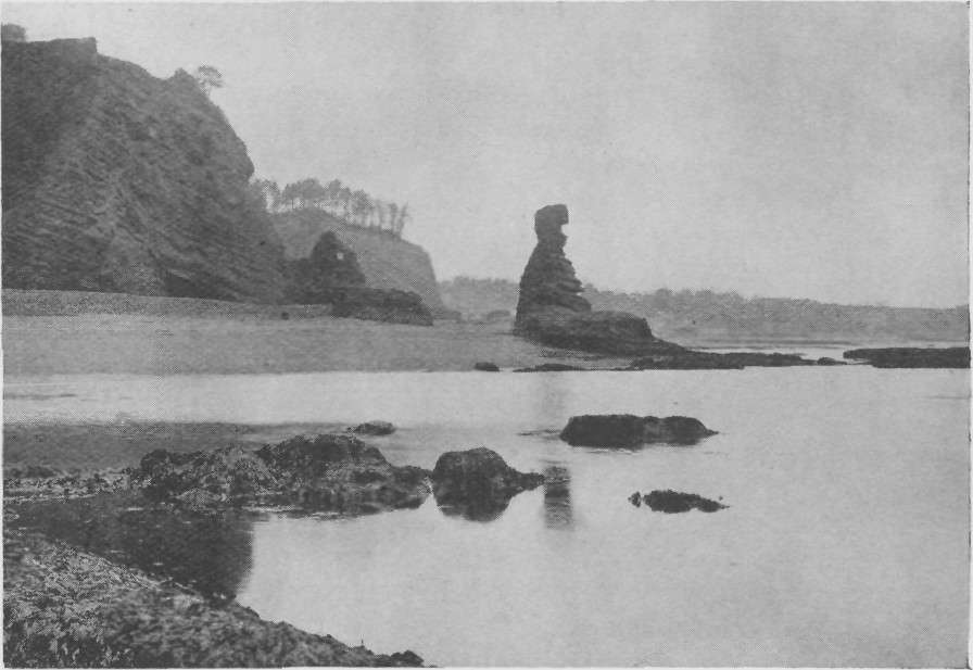 THE CONGER ROCK, DAWLISH