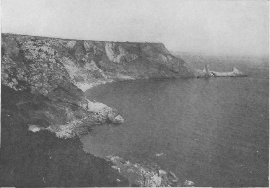 ANSTEY'S COVE. TORQUAY.