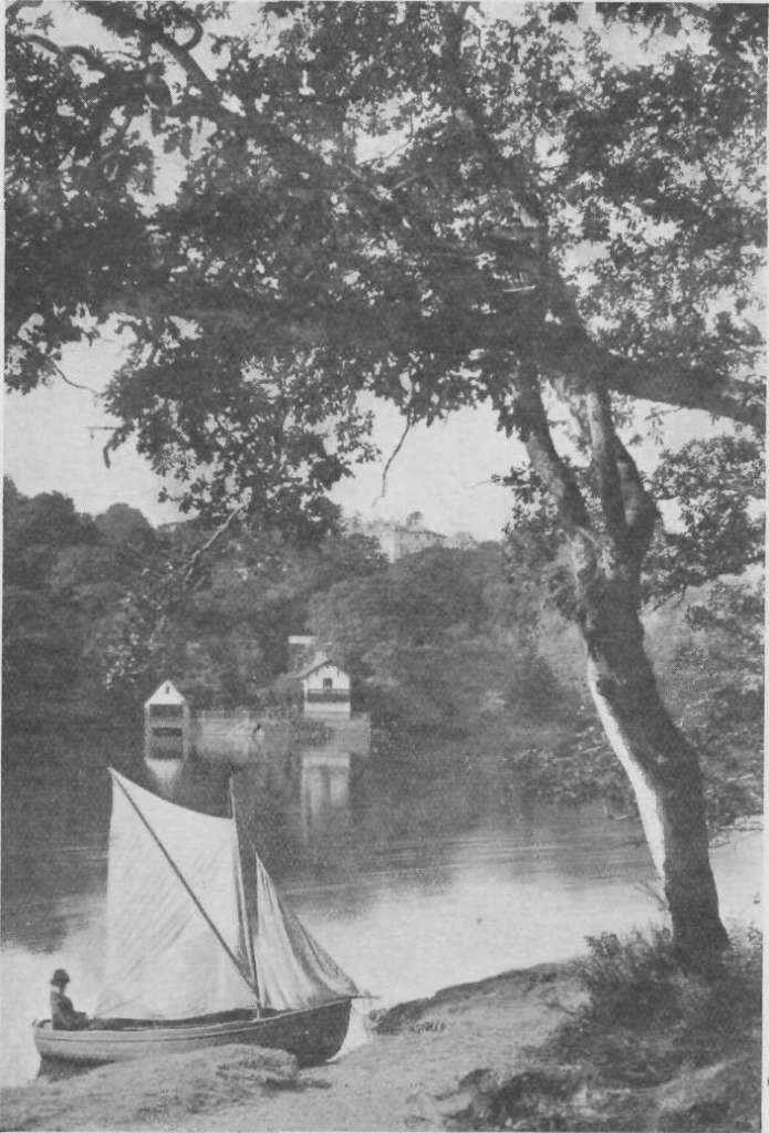 SHARPHAM ON THE DART.