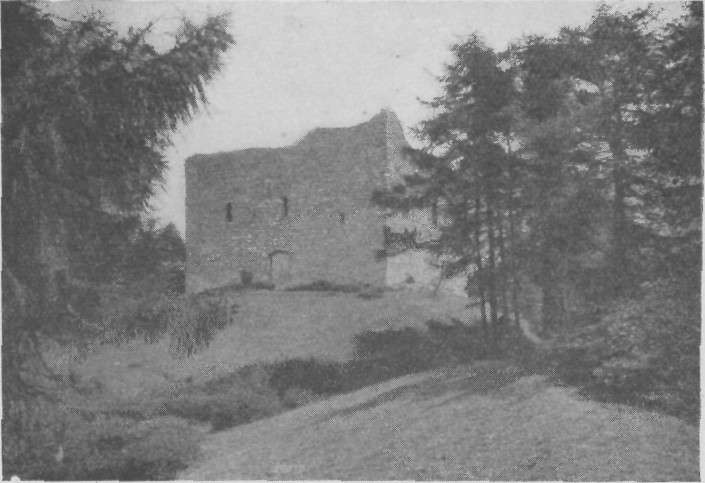 LYDFORD CASTLE.