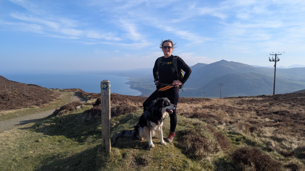 Half way up Yr Eifl on the Lleyn Peninsula