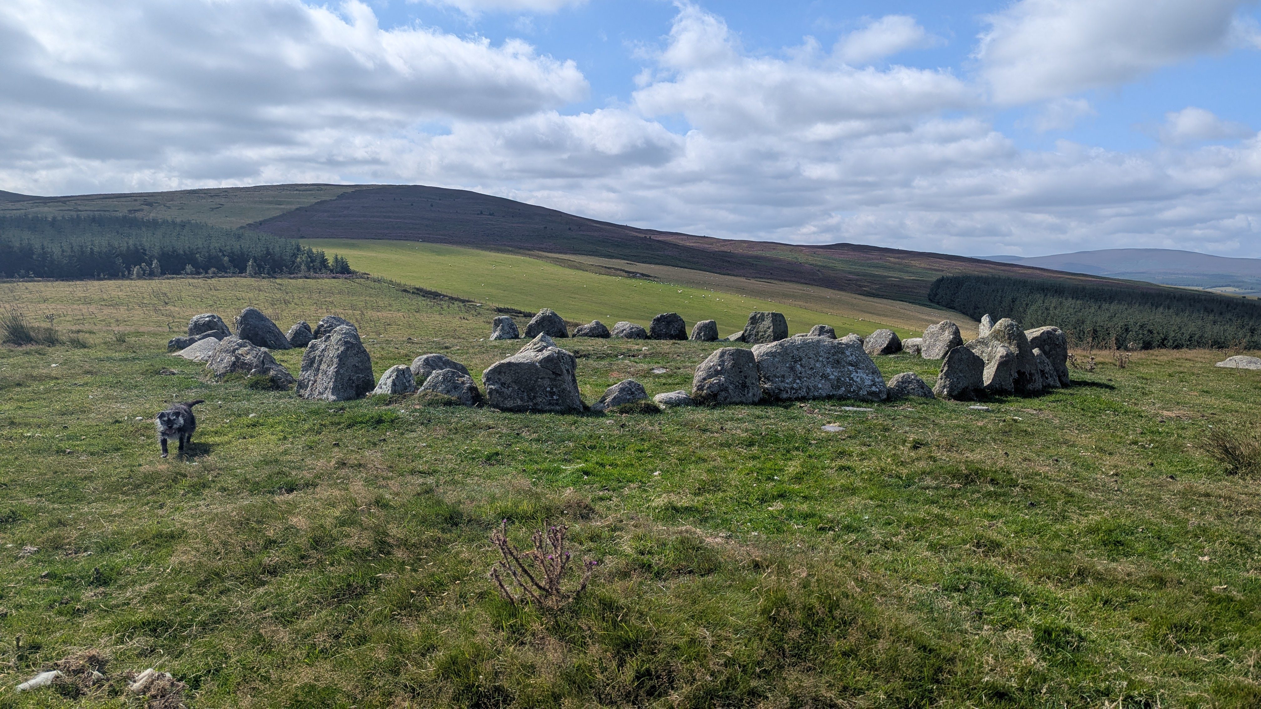 moel ty uchaf stone circle