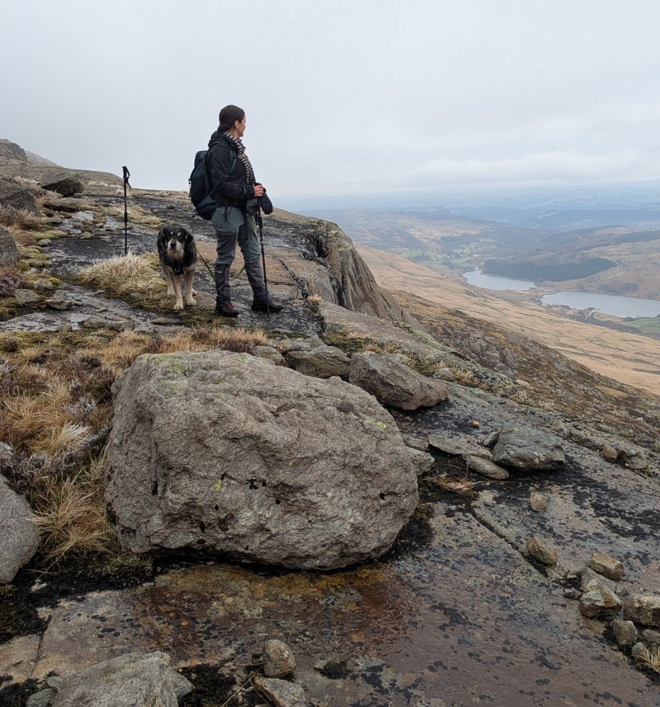 A person standing on a rocky outcrop overlooking a mountainous landscape, accompanied by a dog.