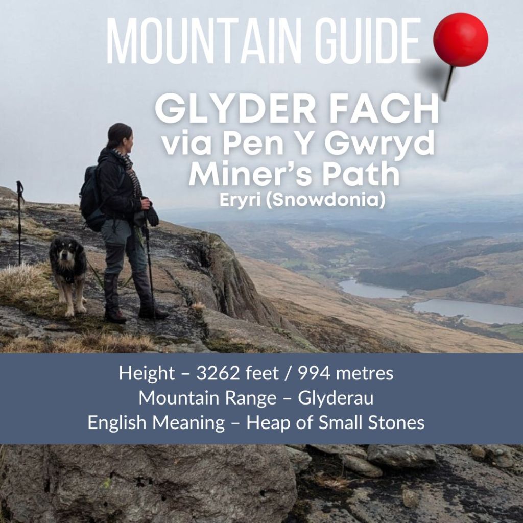 A hiker standing on a rocky outcrop overlooking a valley in Snowdonia, accompanied by a dog, with text overlay detailing the mountain guide for Glyder Fach.