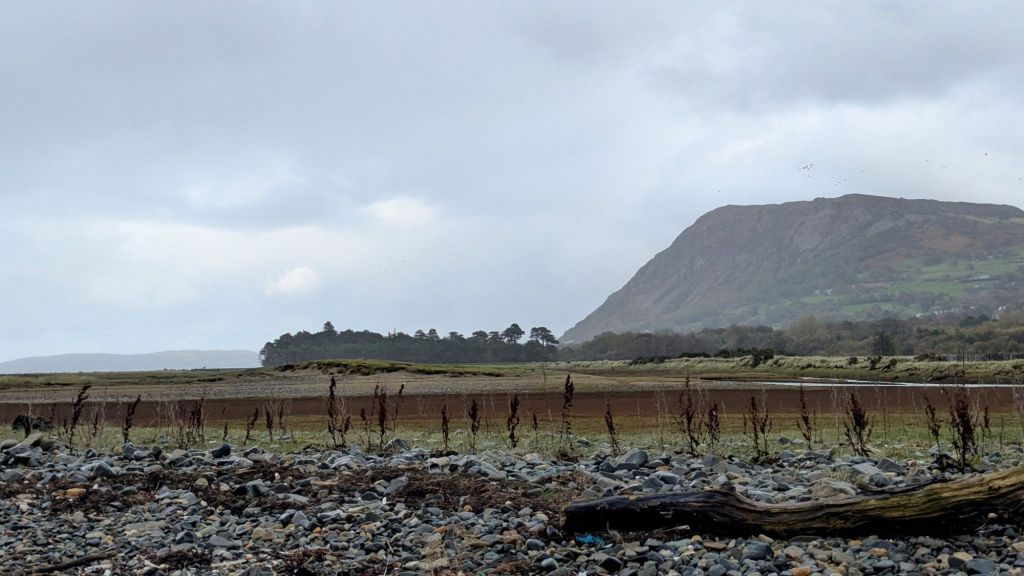 Penmaenmawr Head from Morfa Madryn Nature Reserve