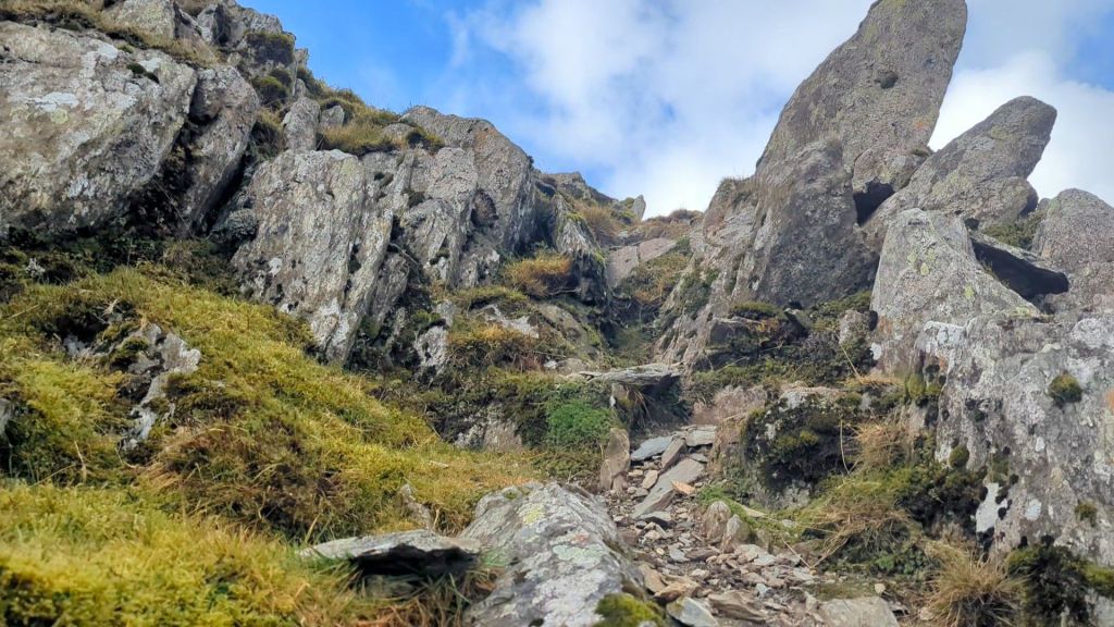 Rocky path leading up the North East Ridge of Yr Elen, with grass and moss-covered terrain under a blue sky.