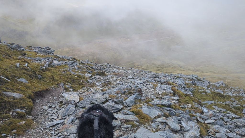 A rocky trail leading downwards with a black dog in the foreground, surrounded by fog and misty mountain scenery.