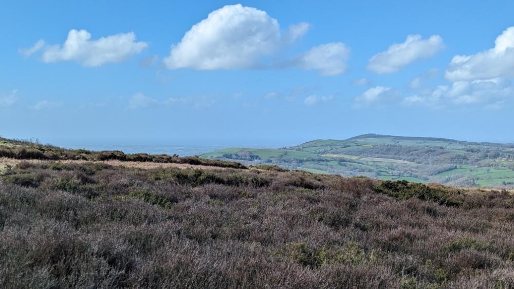 A panoramic view of heather-covered hills under a blue sky with fluffy white clouds, showing the rolling landscape of North Wales.