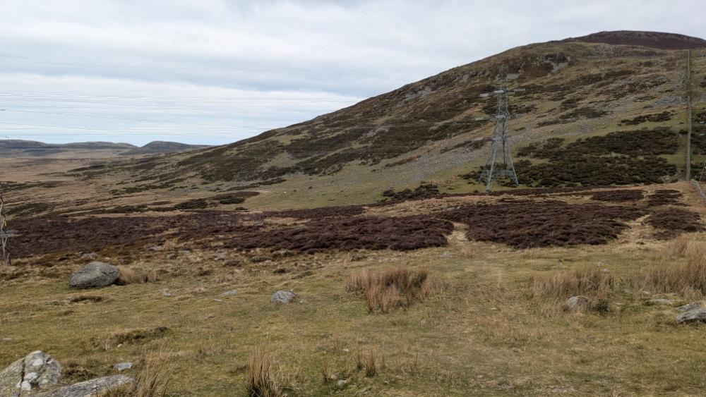 A scenic view of a hilly landscape featuring heather-covered ground, grass, and rocky outcrops under a cloudy sky, with power lines and pylons in the distance.