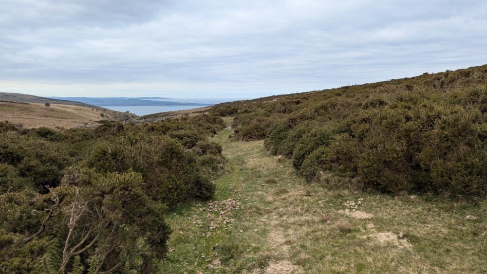 A scenic path winding through green shrubbery on a hillside overlooking a body of water under a cloudy sky.