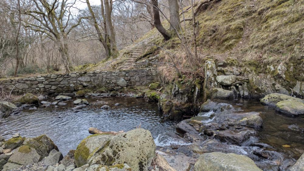 A serene forest scene featuring a gentle stream surrounded by rocky outcrops and leafy trees. A stone wall is partially visible, with a path leading up the hillside in the background.