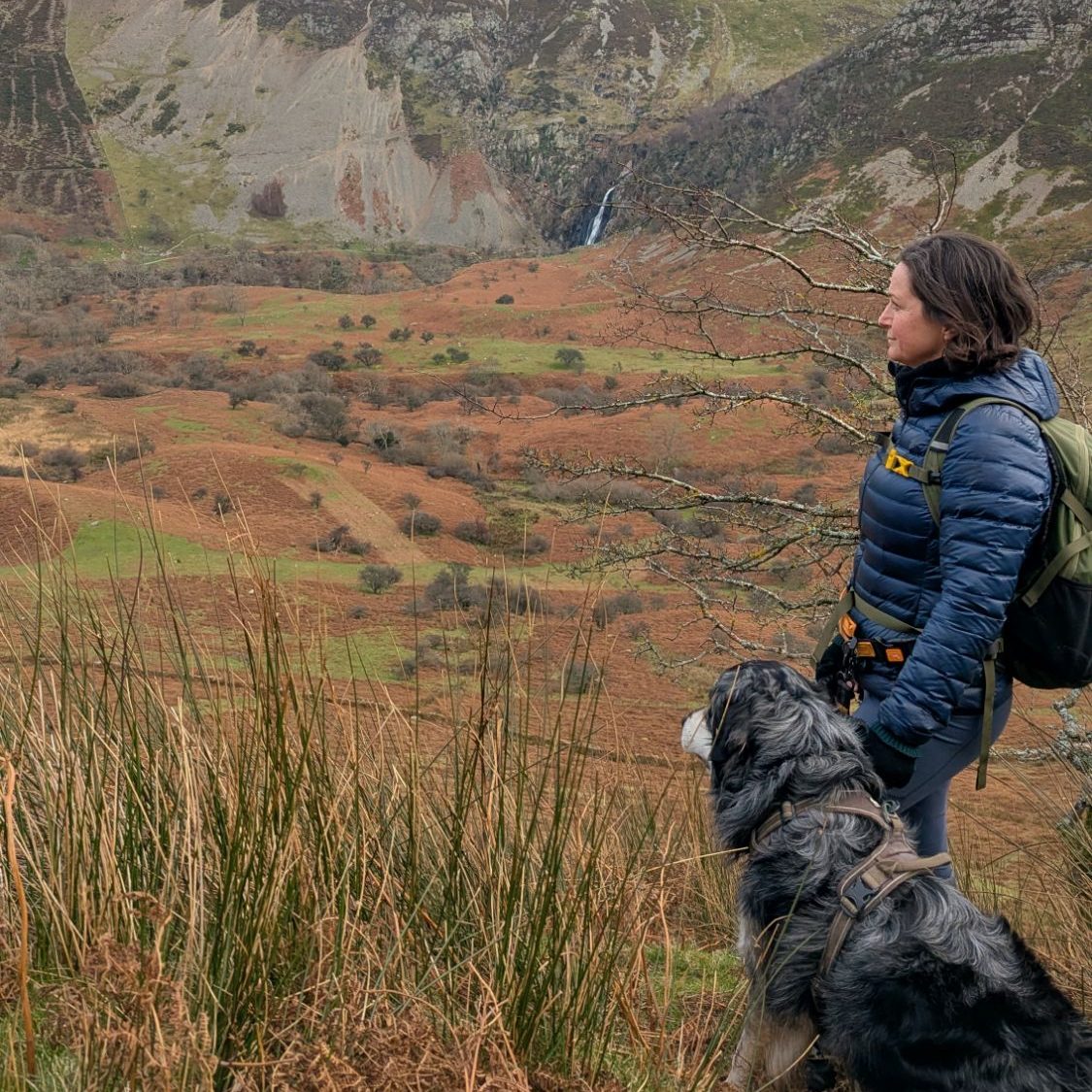 A person standing on a hillside overlooking a valley with brown and green fields, accompanied by a dog. In the background, there are steep hills and a waterfall visible.