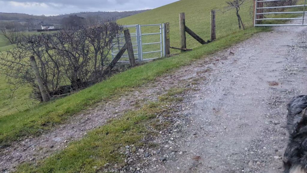 A gravel road leads to a metal gate, with an open field and a hedgerow visible in the background.
