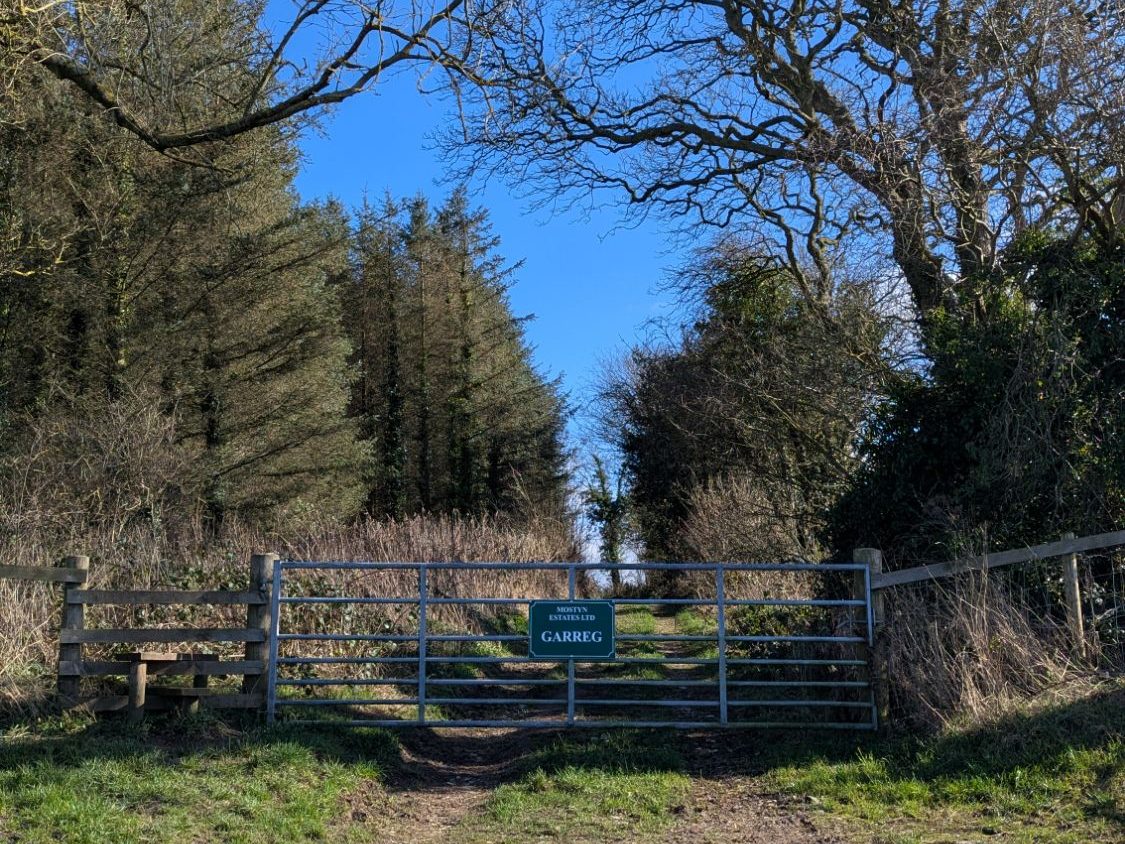 A metal gate at the end of a dirt path lined with trees against a clear blue sky.