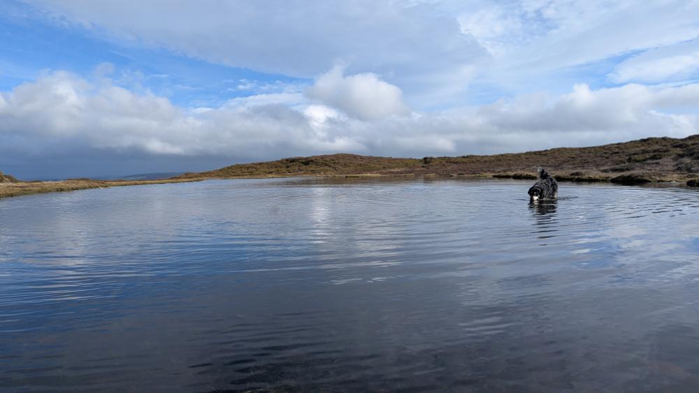 A person wading through a calm body of water surrounded by grassy hills and a blue sky with clouds.