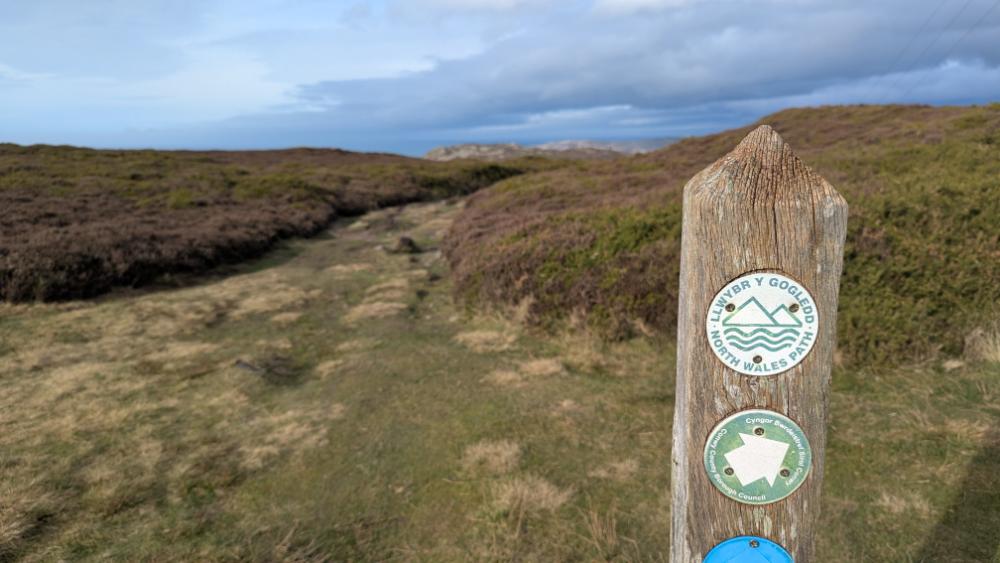 A wooden signpost marking the North Wales Path, with stickers for trail information and direction. A path leads through lush greenery and heather under a cloudy sky.