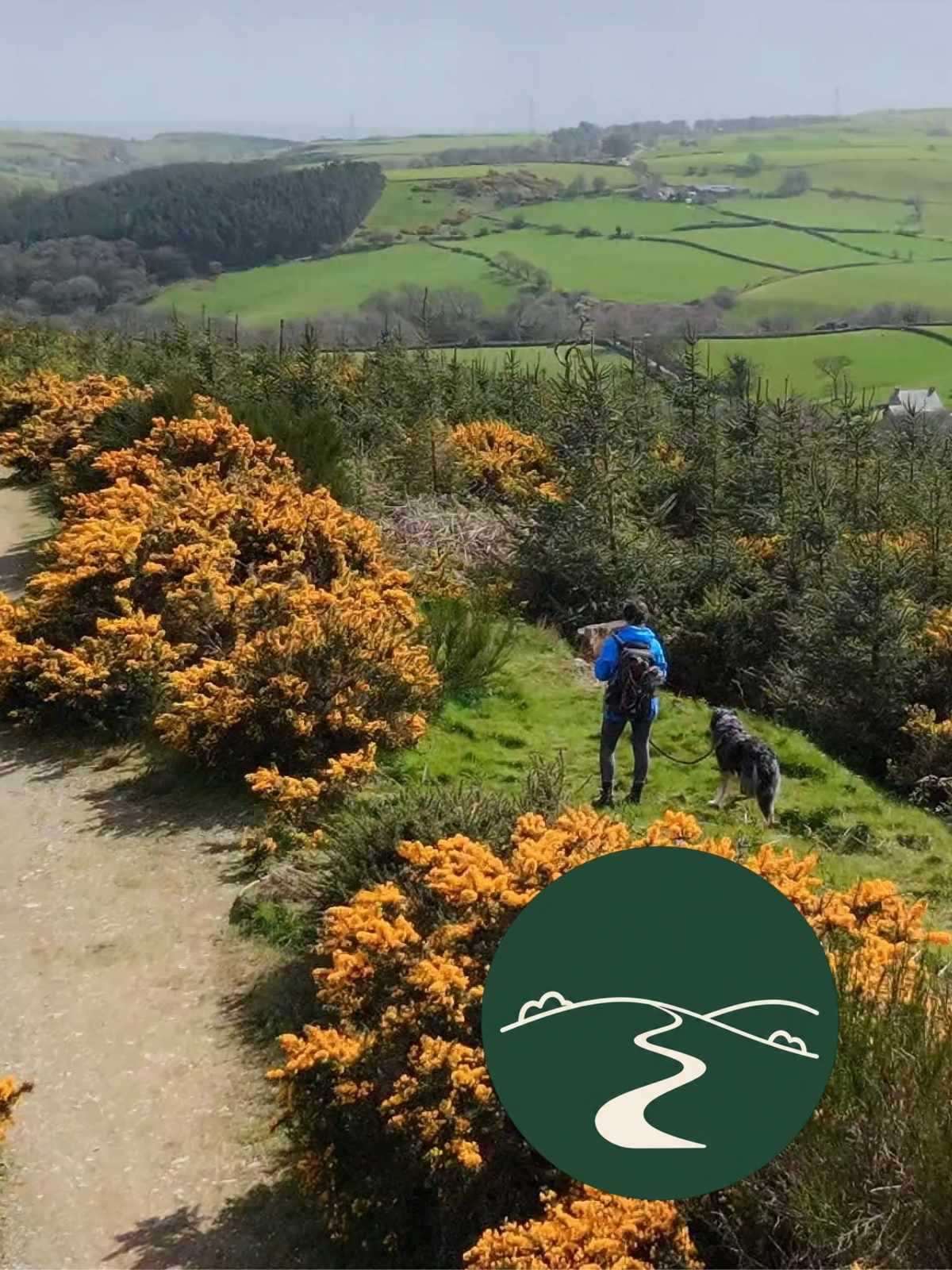 Coed Bryndansi, Colwyn Bay Short Walk