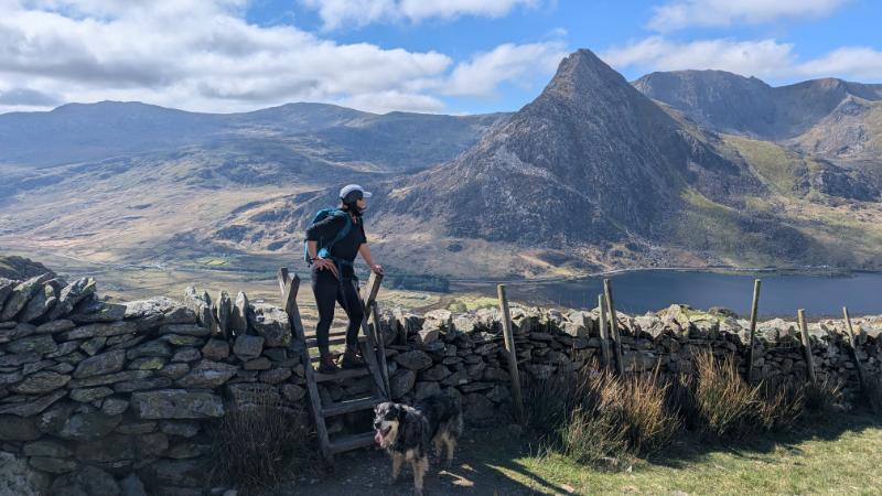 A person climbs over a stone wall with a mountainous landscape in the background, accompanied by a dog.